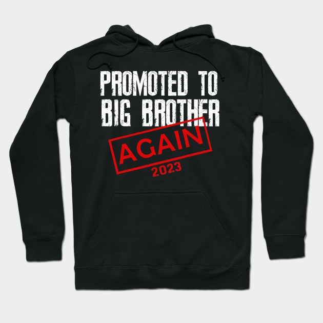 Promoted To Big Brother Again Est 2023 Hoodie by tabbythesing960